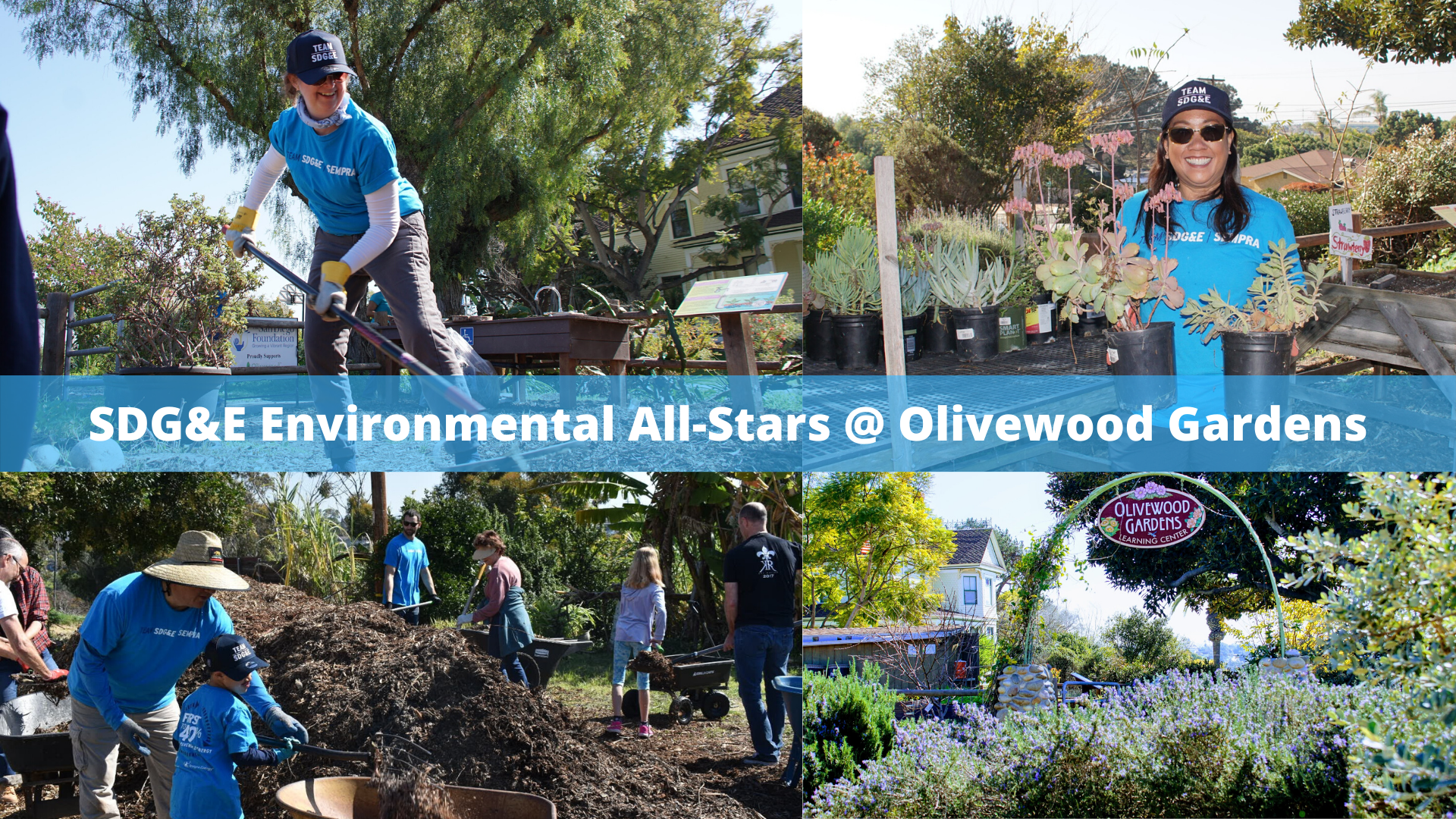 SDG&E Volunteers Assist with Expansion of Olivewood Gardens, Supporting Community Nutrition Education