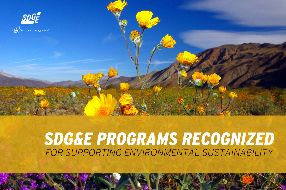 SDG&E Programs Recognized for Supporting Environmental Sustainability 