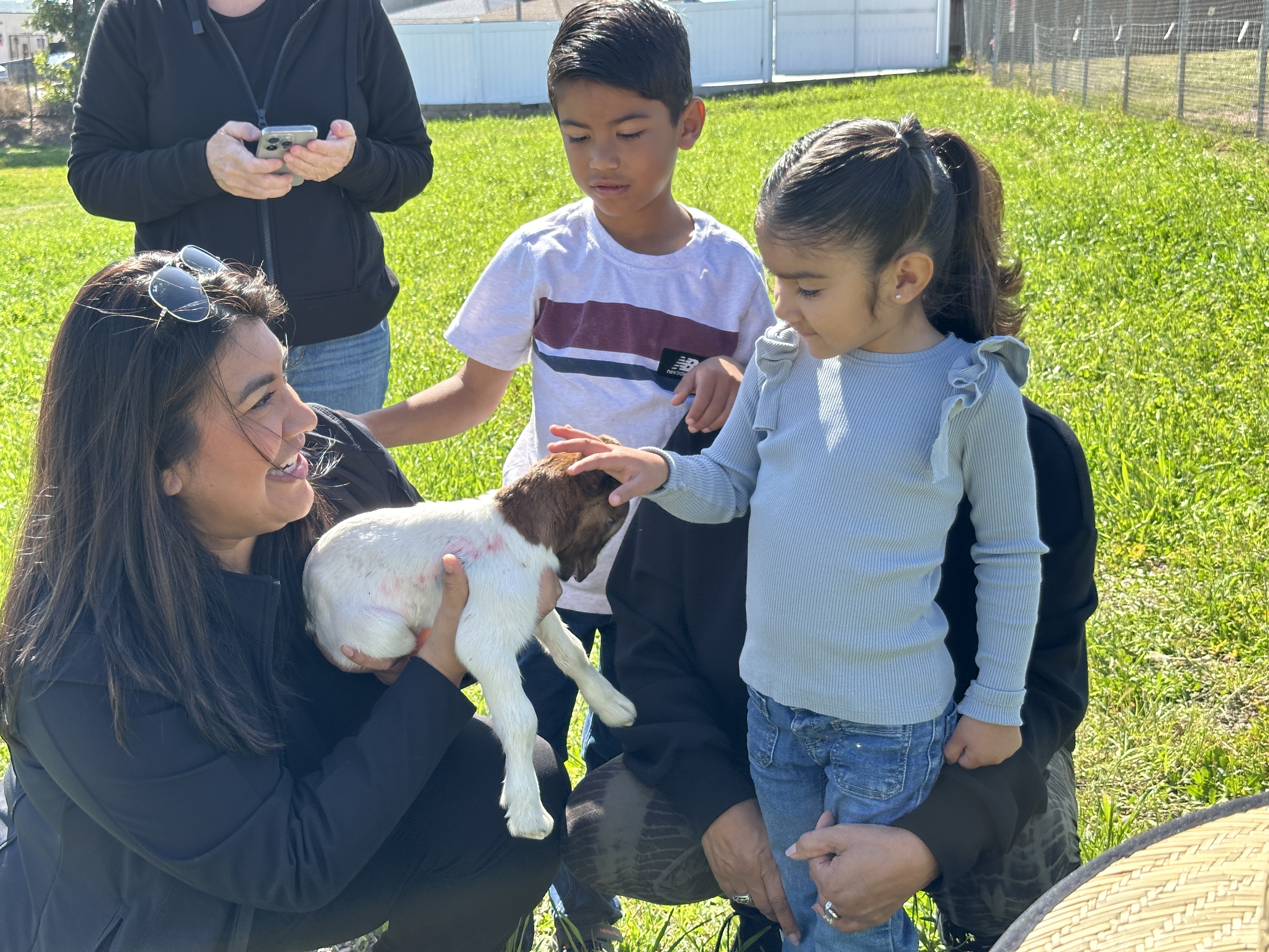 Goat grazing event in Chula Vista