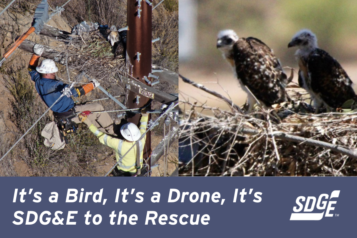 It’s a Bird, It’s a Drone, It’s SDG&E to the Rescue