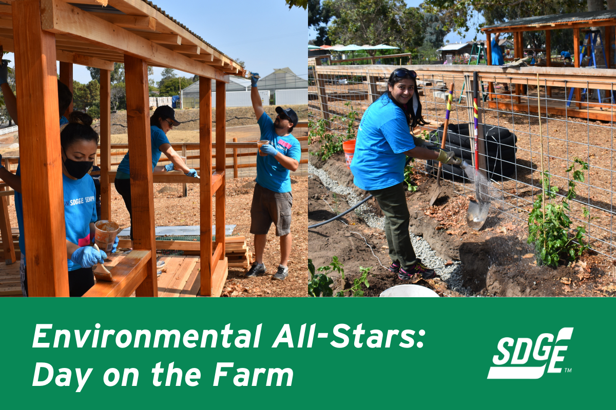 Environmental All-Stars: Day on the Farm