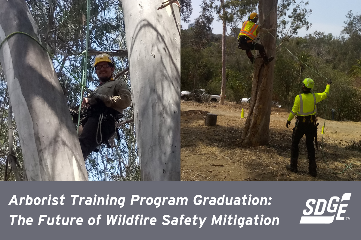 Arborist Training Program Graduation: The Future of Wildfire Safety Mitigation 