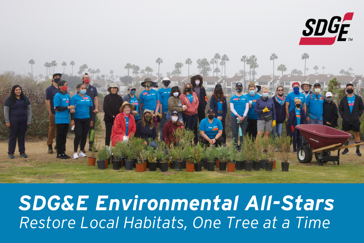 SDG&E Environmental All-Stars Restore Local Habitats, One Tree at a Time  