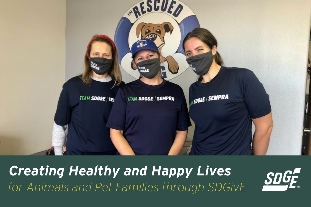 Creating Healthy and Happy Lives for Animals and Pet Families through SDGivE