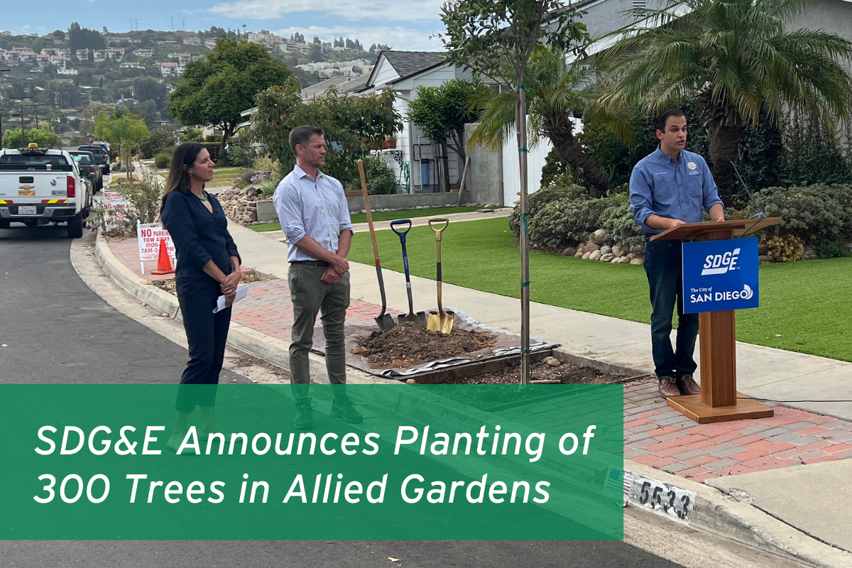 SDG&E Announces Planting of 300 Trees in Allied Gardens