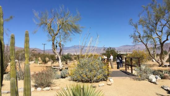 Energy and Nature: The Dynamic Duo at the Center of the Borrego Springs Energy Education Project