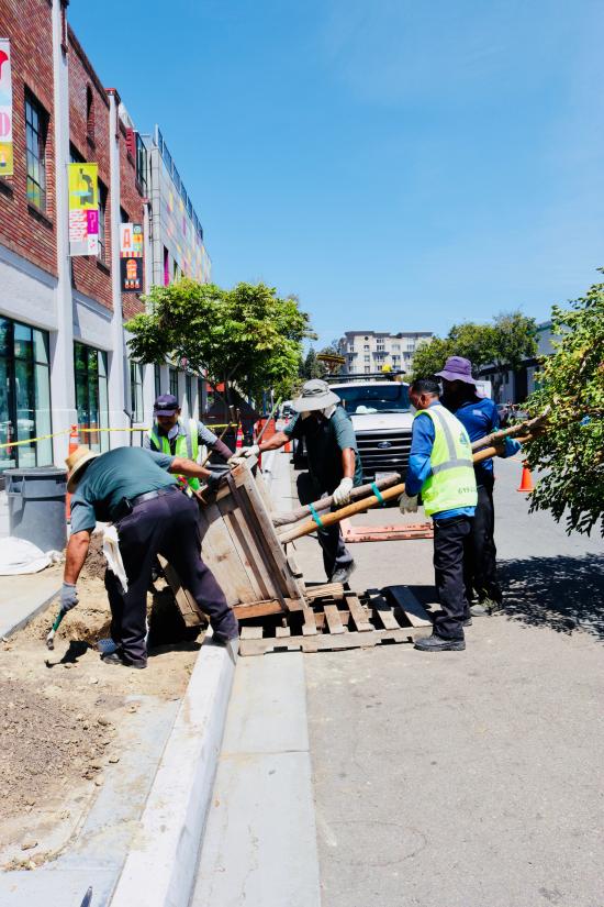 Grow Urban Tree Planting