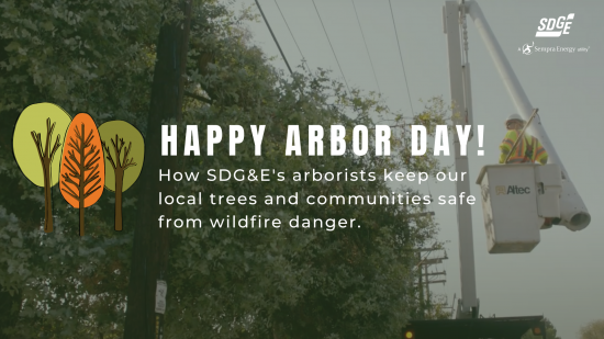 Arbor Day: SDG&E’s Arborists Work to Keep Local Trees and Communities Safe