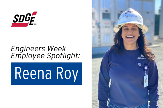 Engineers Week Employee Spotlight: Reena Roy, Senior Engineer