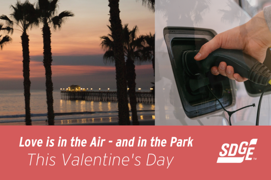 Love is in the Air -- and in the Park -- this Valentine's Day