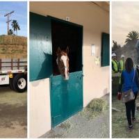 SDG&E Donates A Truck Load of Animal Feed to Evacuated Horses at Del Mar Fairgrounds