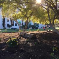 Balboa Park Arbor Week
