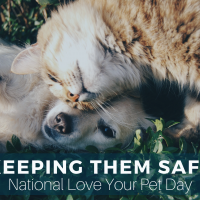 National Love Your Pets Day: 5 Steps to Plan for Your Pet’s Safety in an Emergency