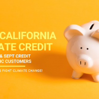 California Climate Credit to Offset August and September Bills for SDG&E Electric Customers by $32.28 Each in Credit