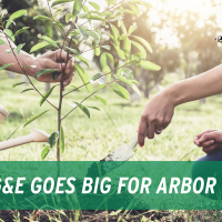 SDG&E Goes BIG for Arbor Day