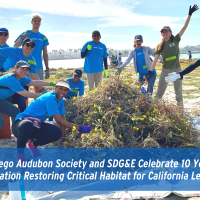 San Diego Audubon Society and SDG&E Celebrate 10 Years of Collaboration Restoring Critical Habitat for California Least Tern