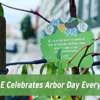 SDG&E Celebrates Arbor Day Every Day! 