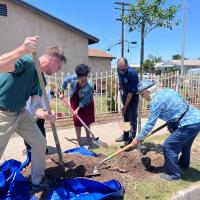 SDG&E Partners with City of San Diego to Plant 290 New Trees in Bay Terraces